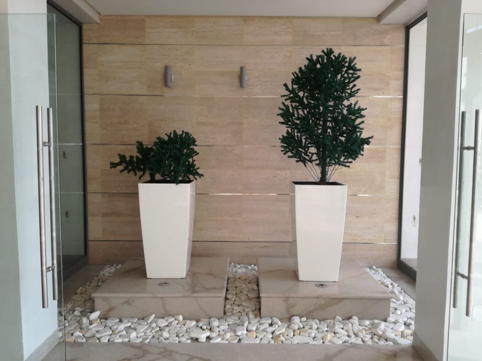 Lobby Hotel Rosa Beach