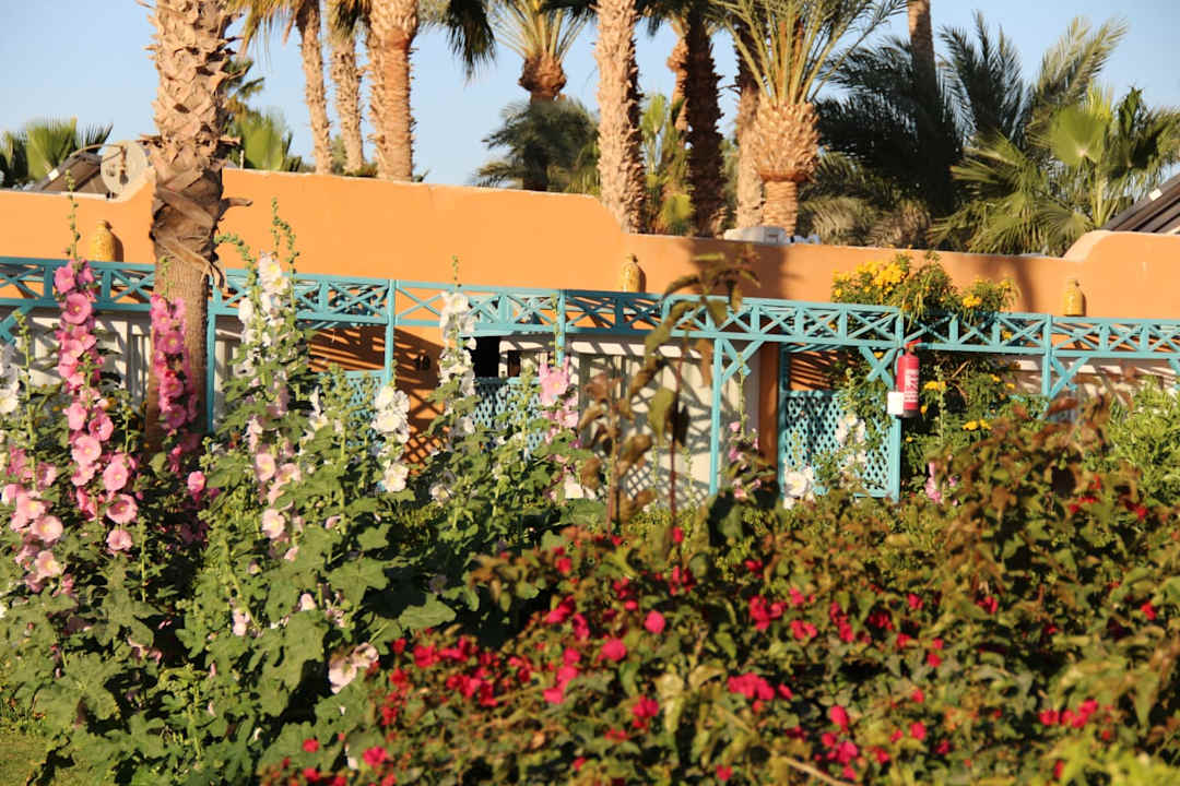 Gartenanlage Giftun Azur Resort