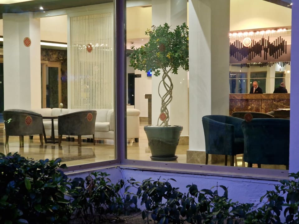 Lobby Asteria Family Resort Side