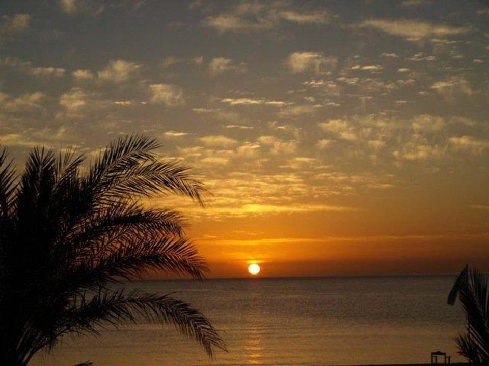 Sonnenaufgang Shams Prestige Abu Soma-Adults Only