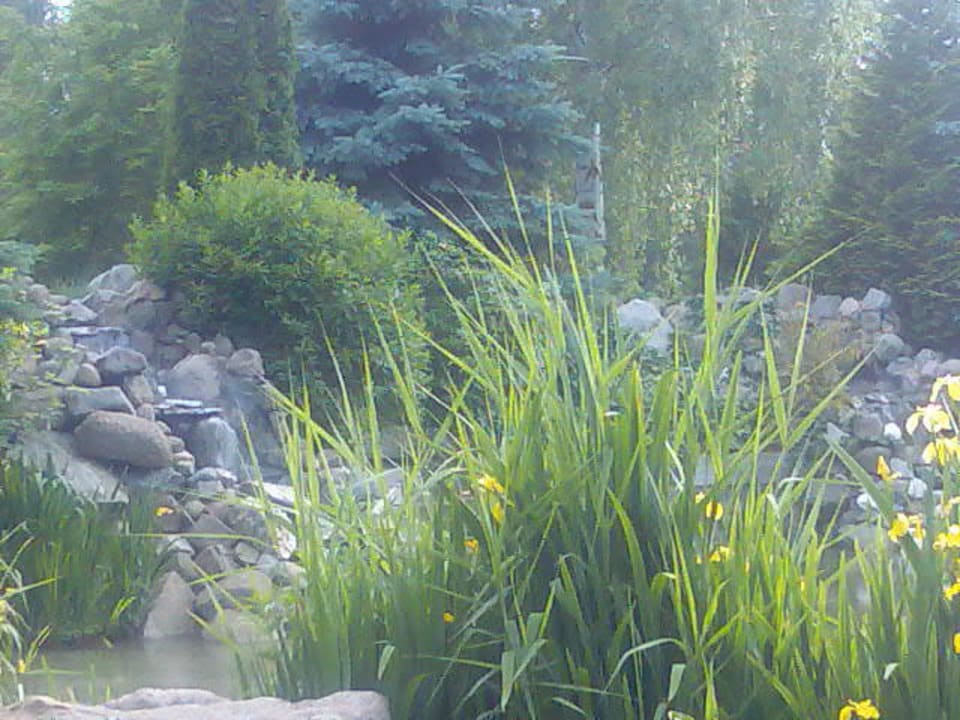 Kleiner Teich mit Steingarten Landhaus Börnicke