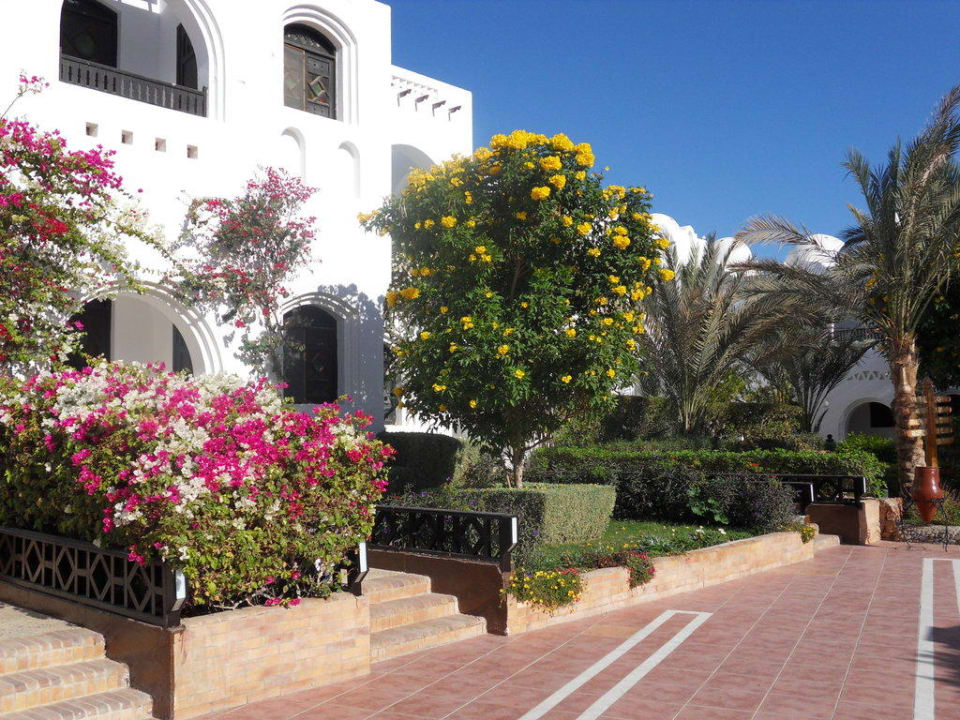 Blütenpracht Arabella Azur Resort