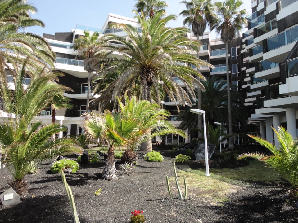 Von Liegewiese Melia La Palma Hotel