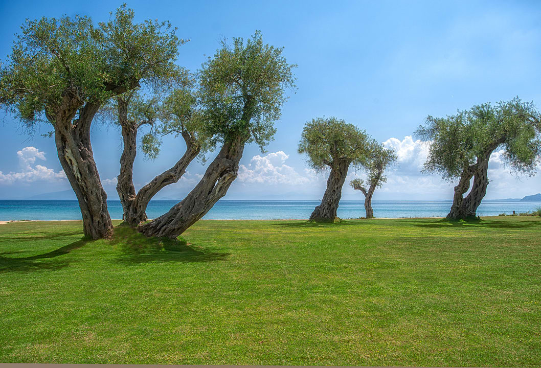 Gartenanlage Domes Miramare, a Luxury Collection Resort, Corfu