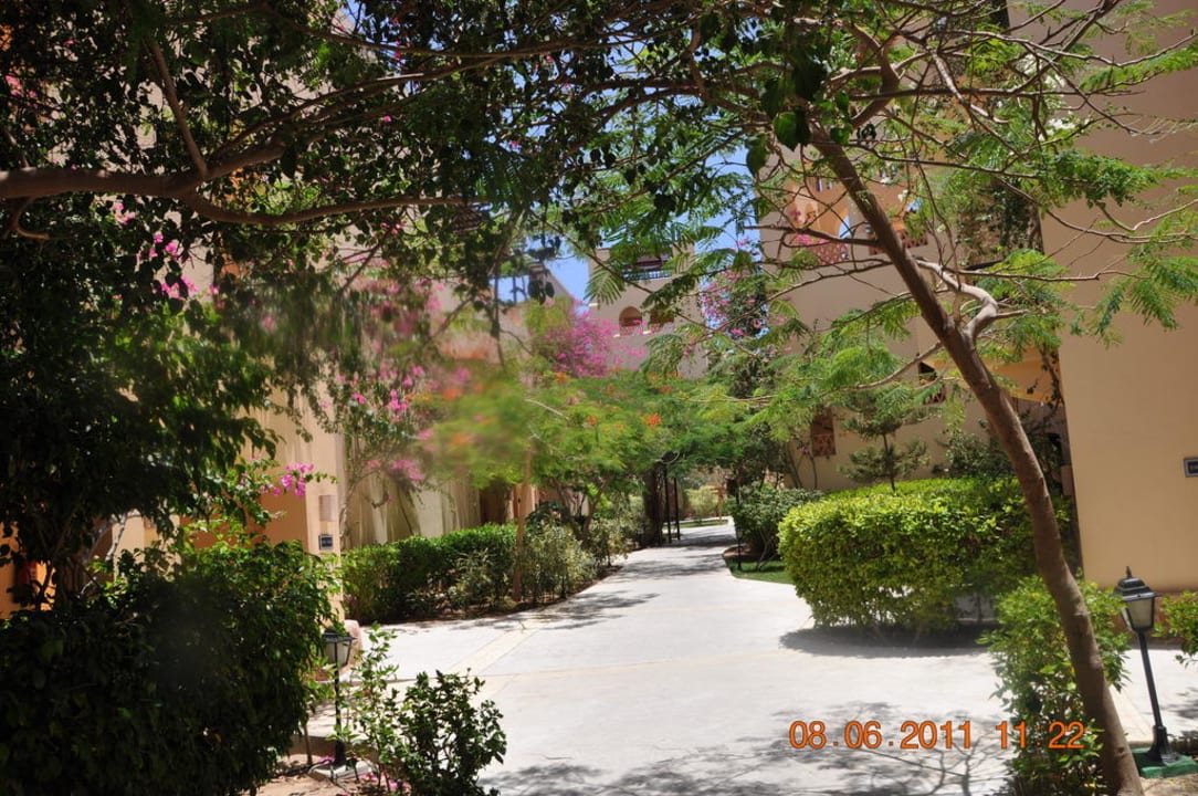 Gartenanlage Steigenberger Coraya Beach - Adults only