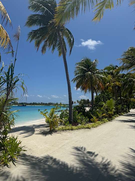 Gartenanlage OBLU SELECT Lobigili