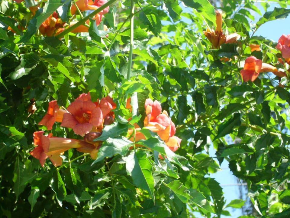 Natur inclusive Hotel Marin