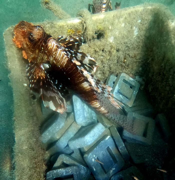 Sport & Freizeit Brayka Bay Resort