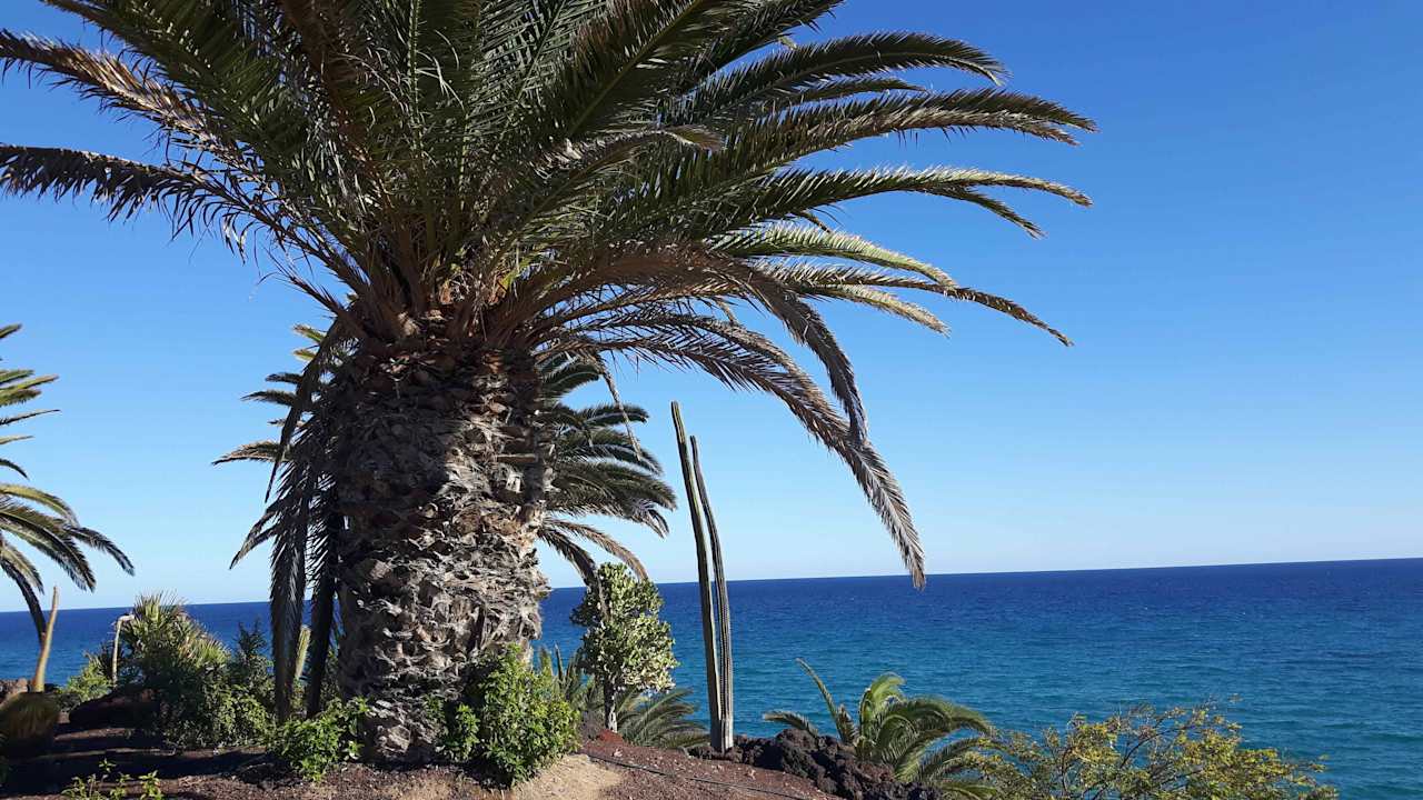 Ausblick R2 Pajara Beach