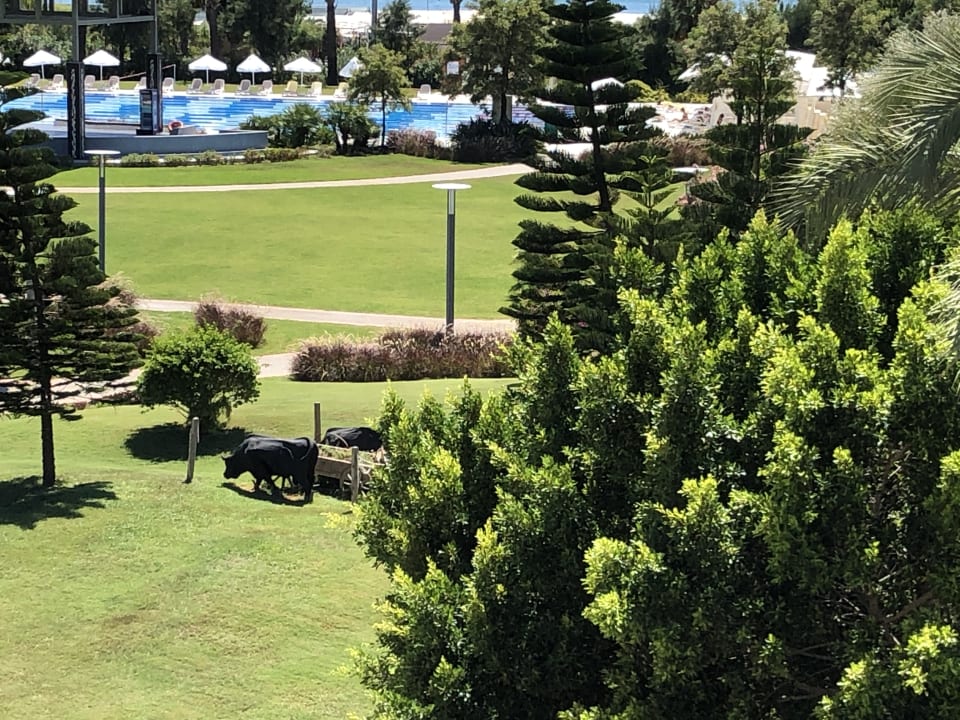 Gartenanlage TUI BLUE Xanthe