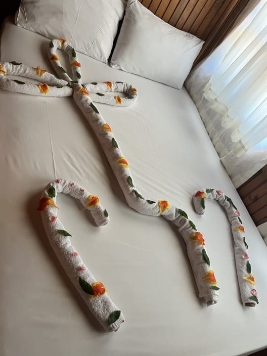 Zimmer Clover Magic Nova Beach