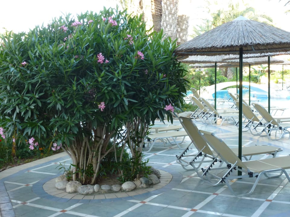 Poolanlage Atrium Palace Thalasso Spa Resort & Villas