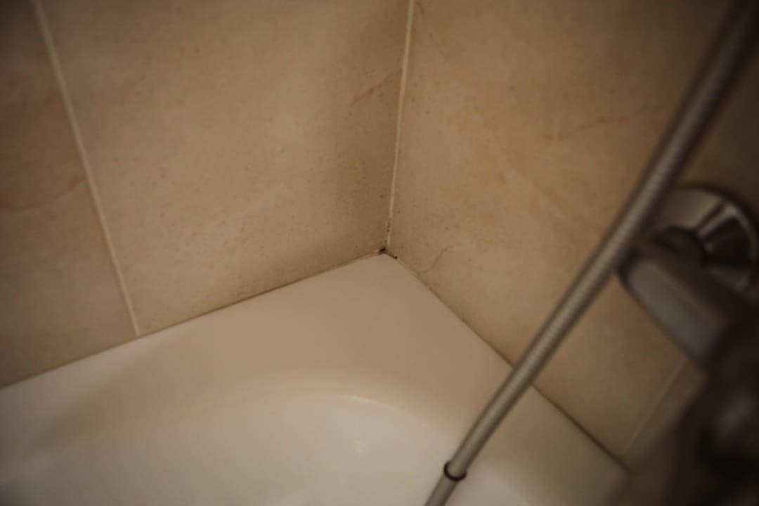 Fungus Sol Cosmopolitan Rhodes