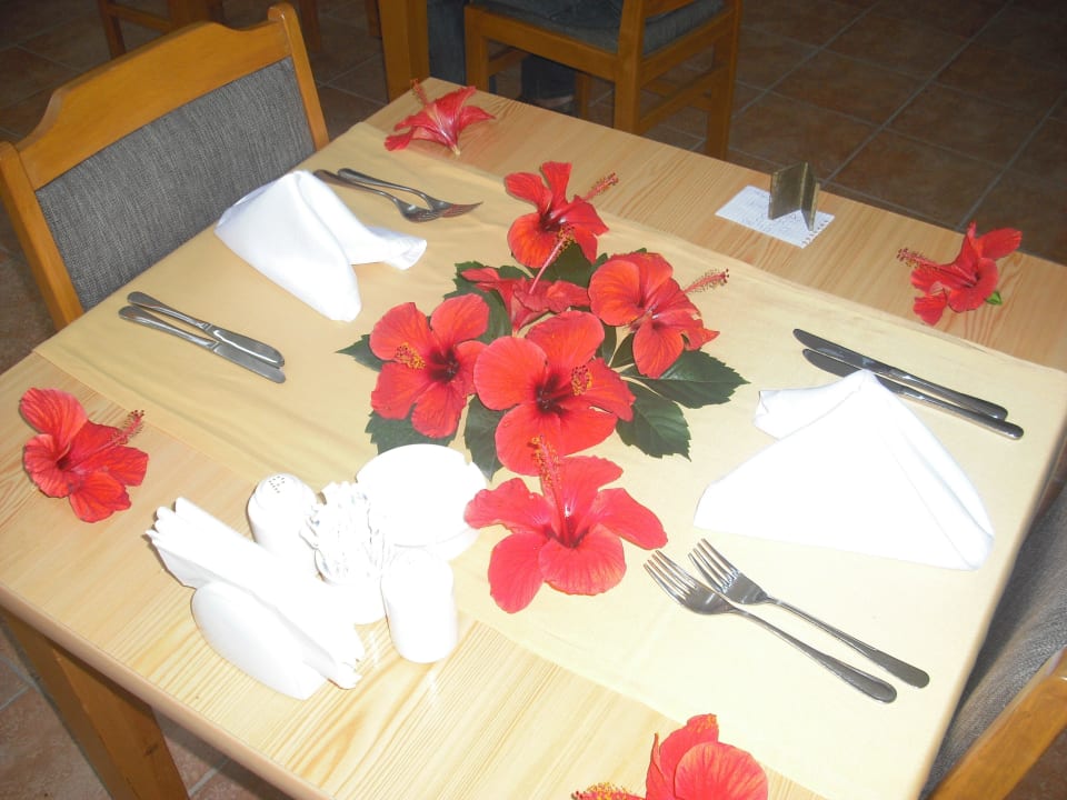 Eigener Tisch für18 Tage (jeder Gast) Hotel Defne Garden