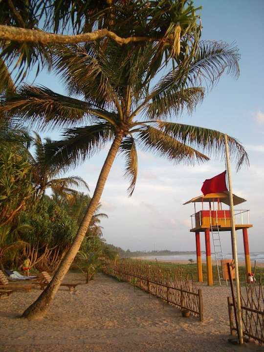 Club Bentota (am Strand) Hotel Club Bentota