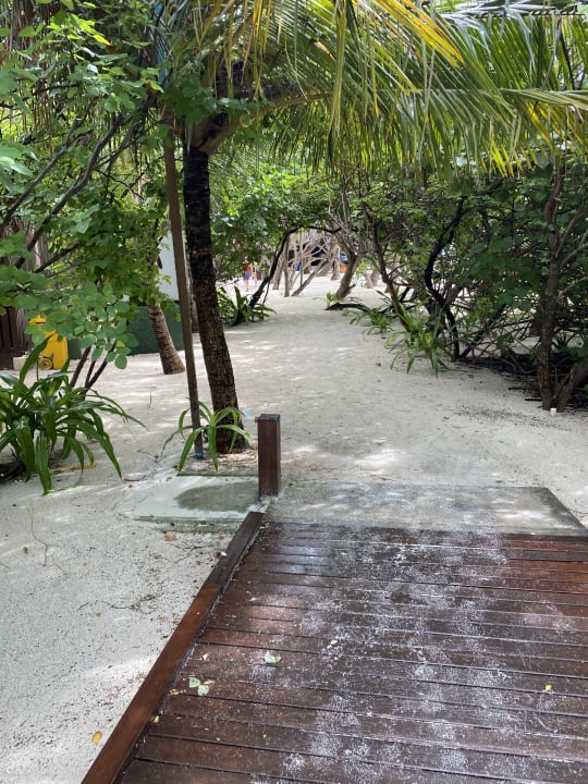 Strand Summer Island Maldives