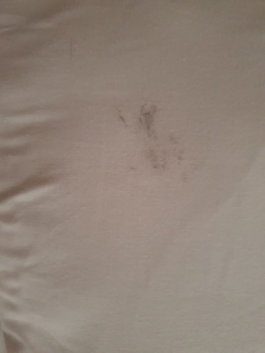 Zimmer Hotel Sineva Beach