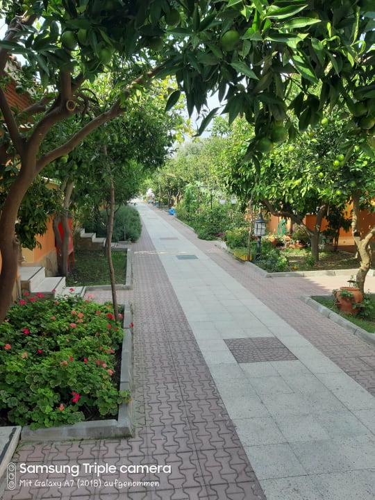 Gartenanlage Özlem Garden Hotel