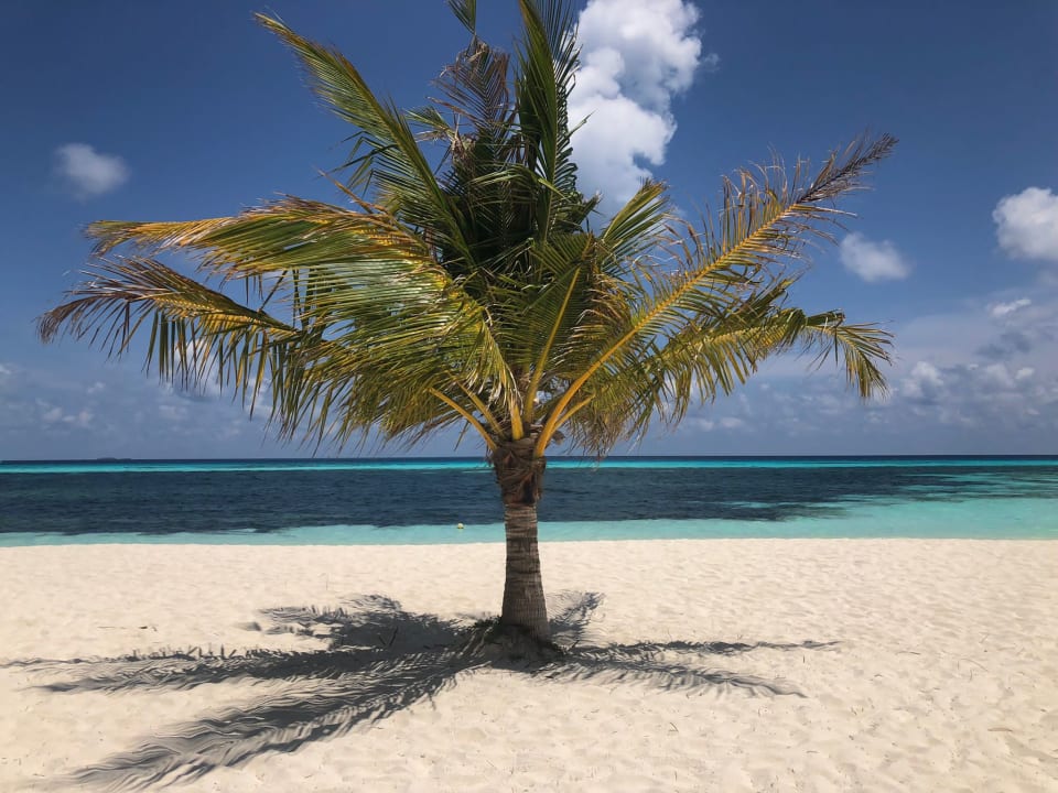 Strand Kuredu Island Resort & Spa