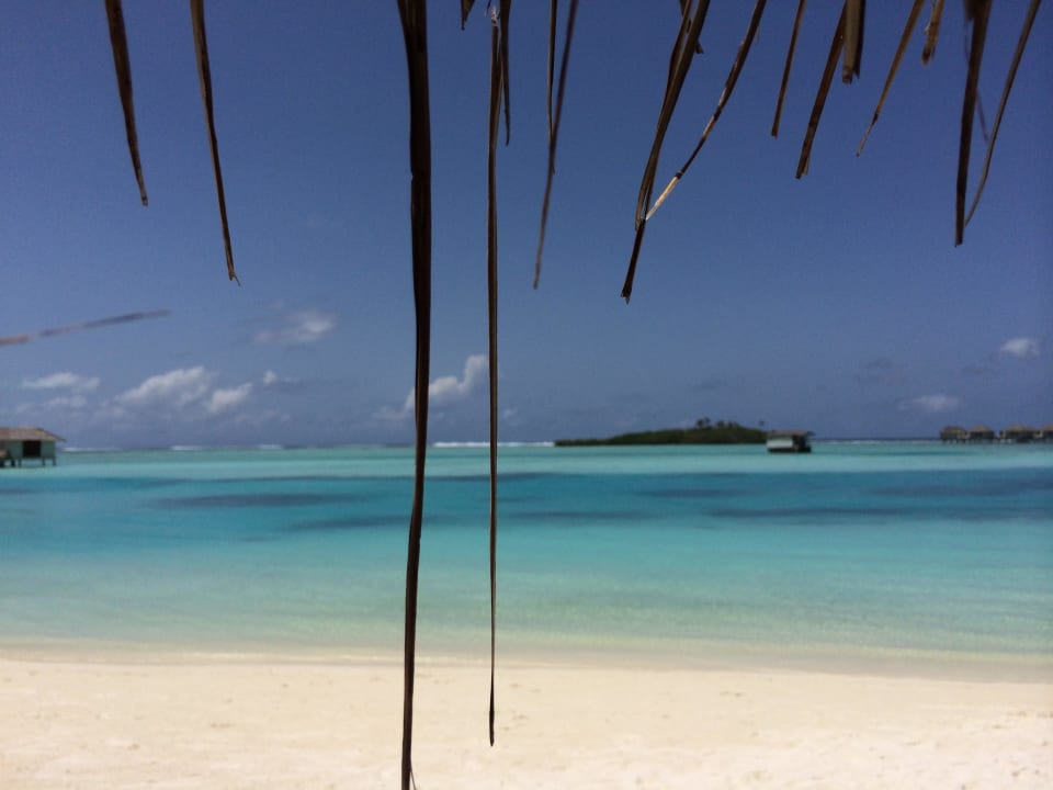 Strand am Mittag  Cinnamon Dhonveli Maldives