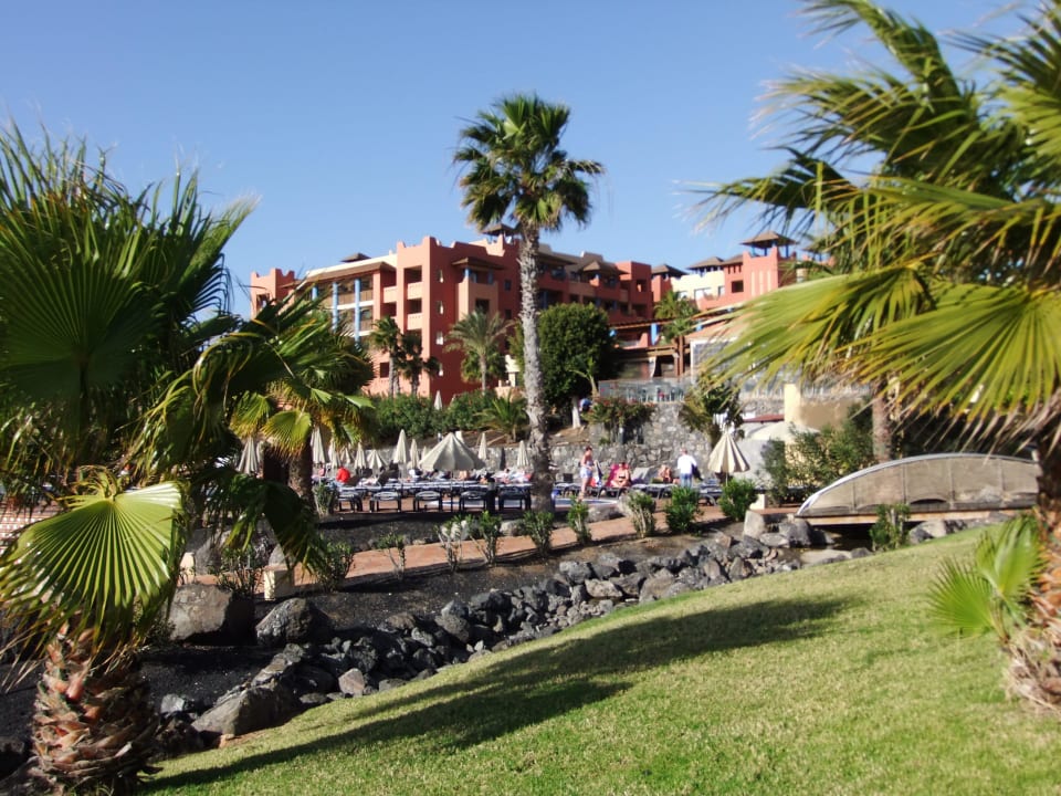 Garten im Januar H10 Tindaya