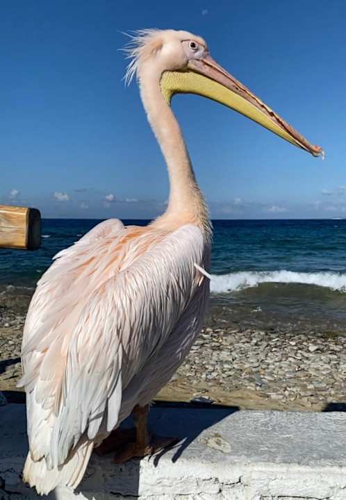 Sonstiges Hotel Artemis