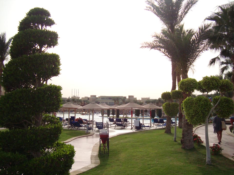 Außenansicht Beach Albatros Resort