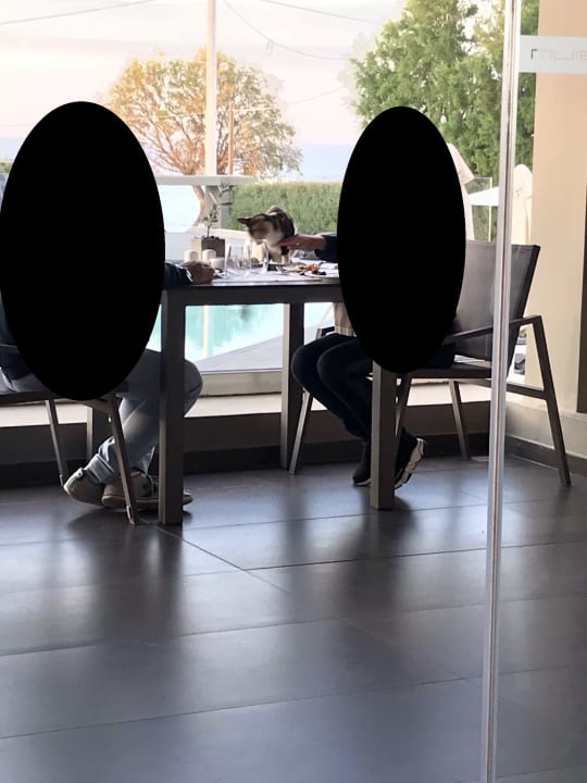 Gastro NEMA Design Hotel & Spa (Adults Only)