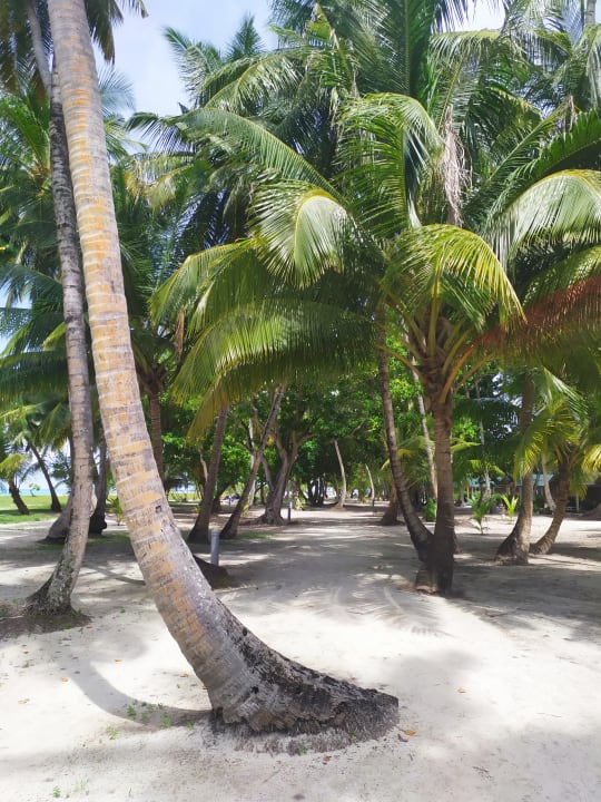 Strand Meeru Maldives Resort Island