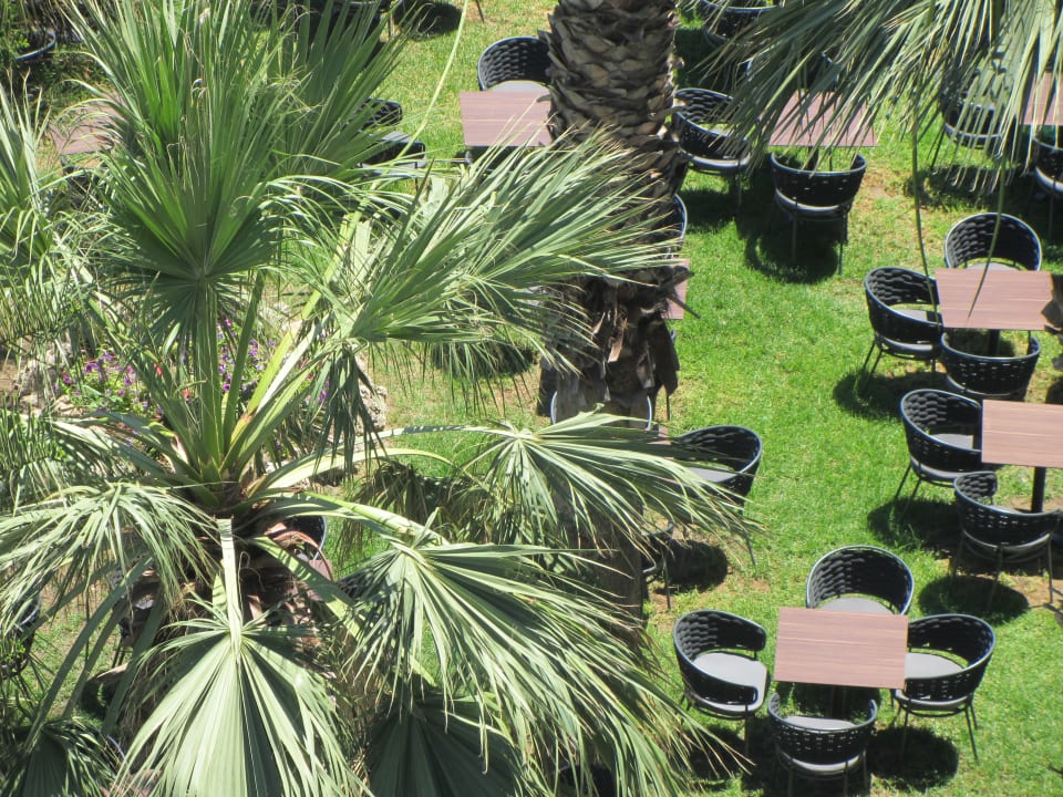 Gartenanlage Hotel Calypso Beach