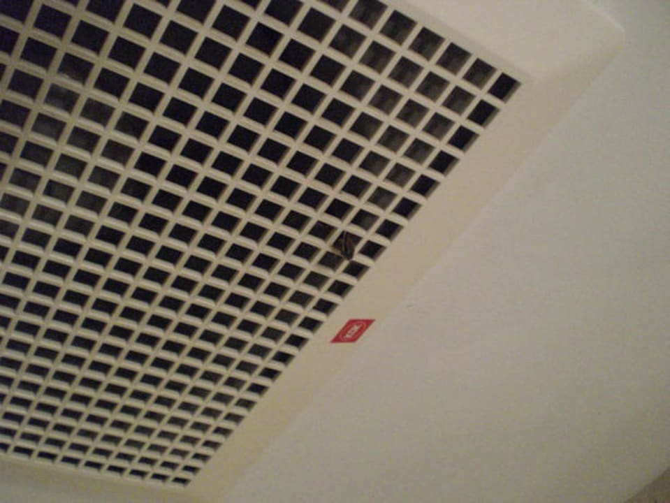 Lüftungsschacht mit gr. Kakerlake im Badezimmer Hotel Grand Mutiara