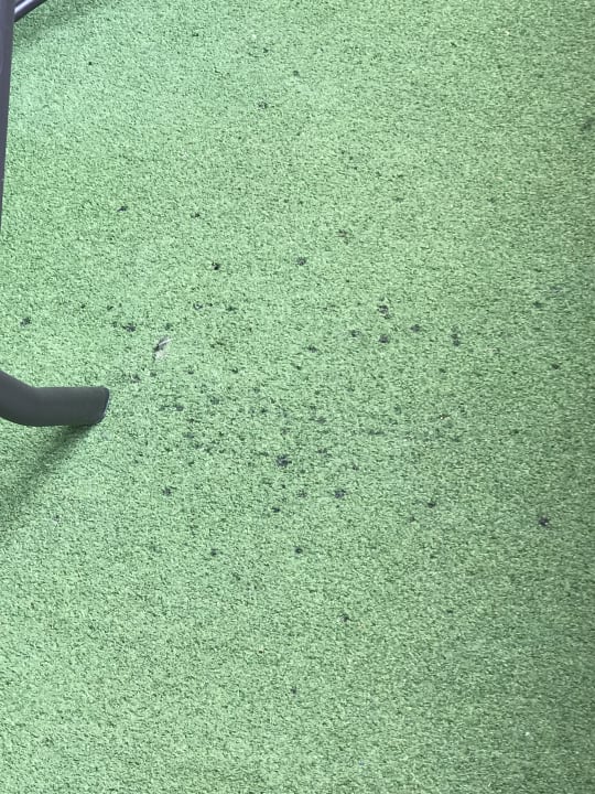 Sonstiges Ferienwohnungen Ferienpark Weissenhäuser Strand