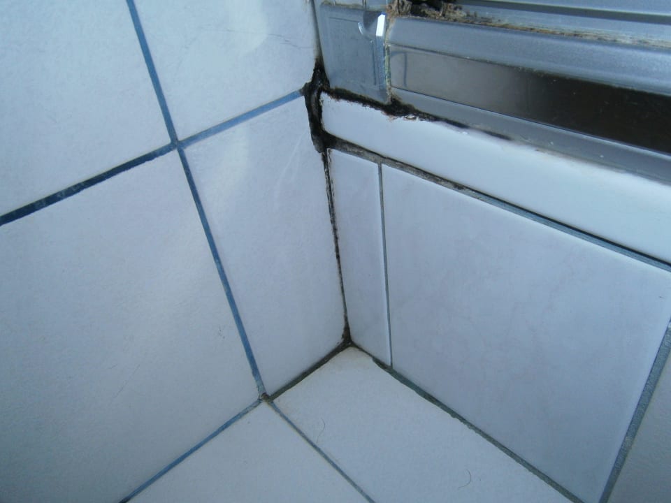 Extremer Schimmelbefall im Bad Hotel Trauner
