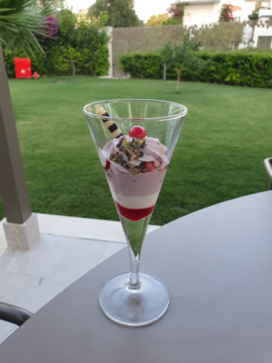 Gastro Acanthus Cennet Barut Collection