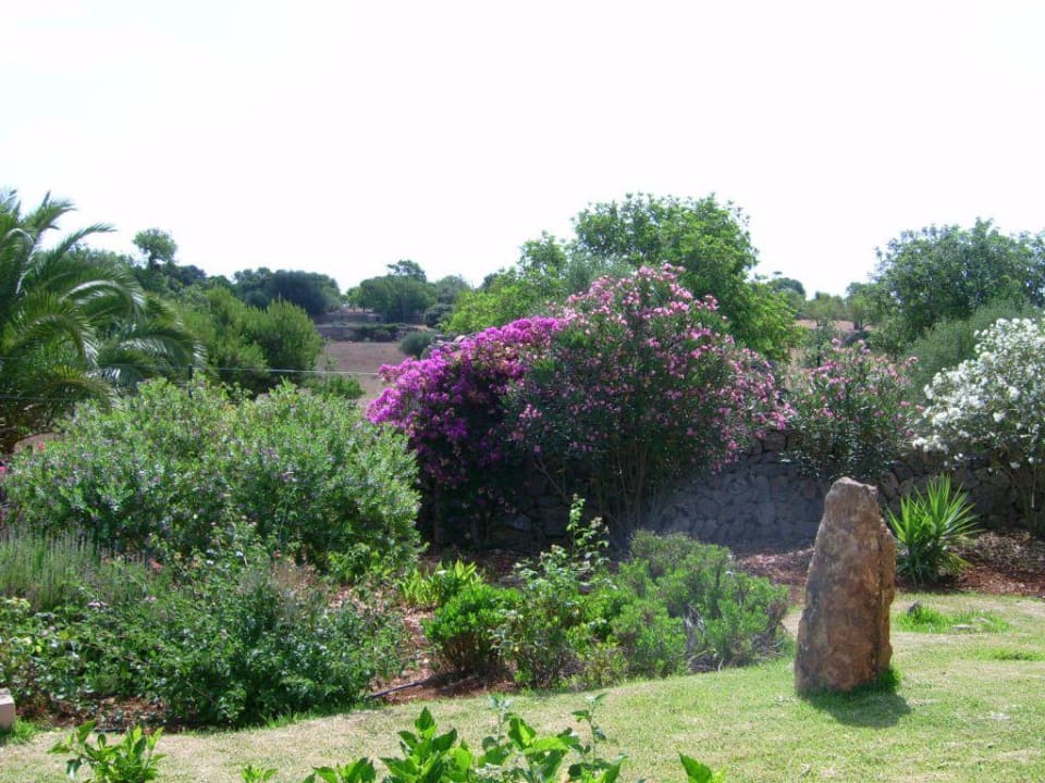 Garten Finca Son Marimon