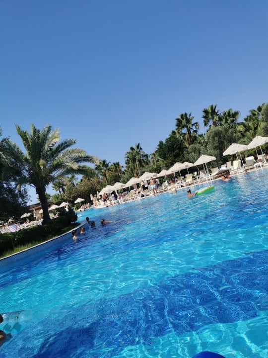 Pool Seaden Sea World Resort & Spa
