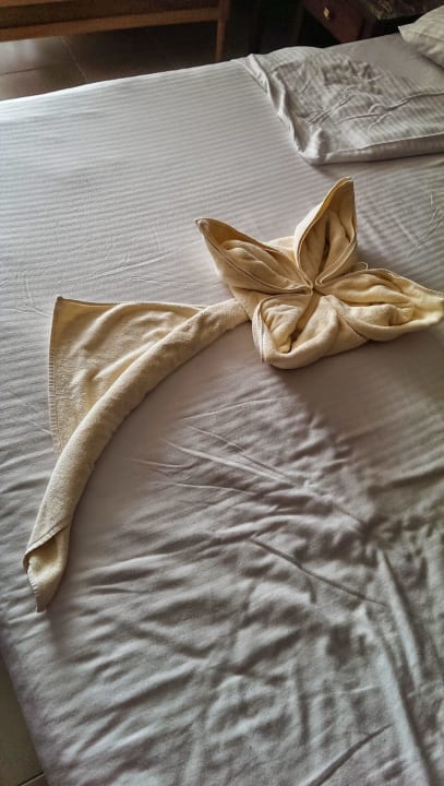 В номере Beach Albatros Resort