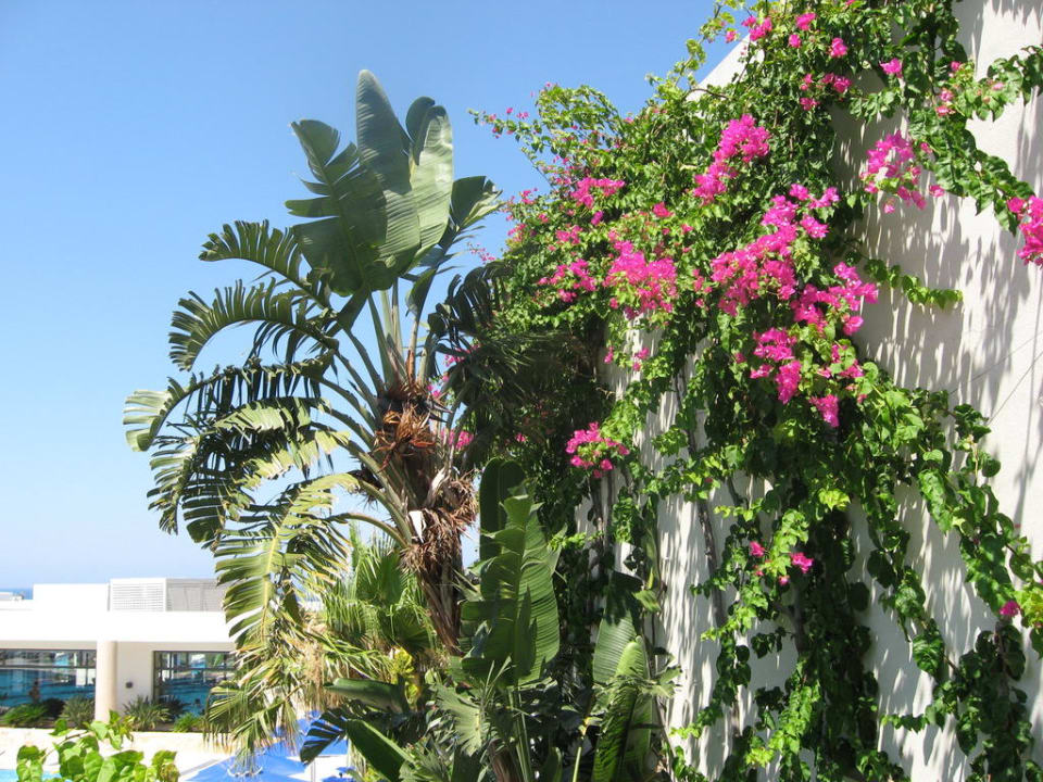 Palma Grand Hotel Holiday Resort