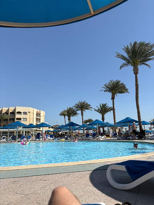 Pool Beach Albatros Resort