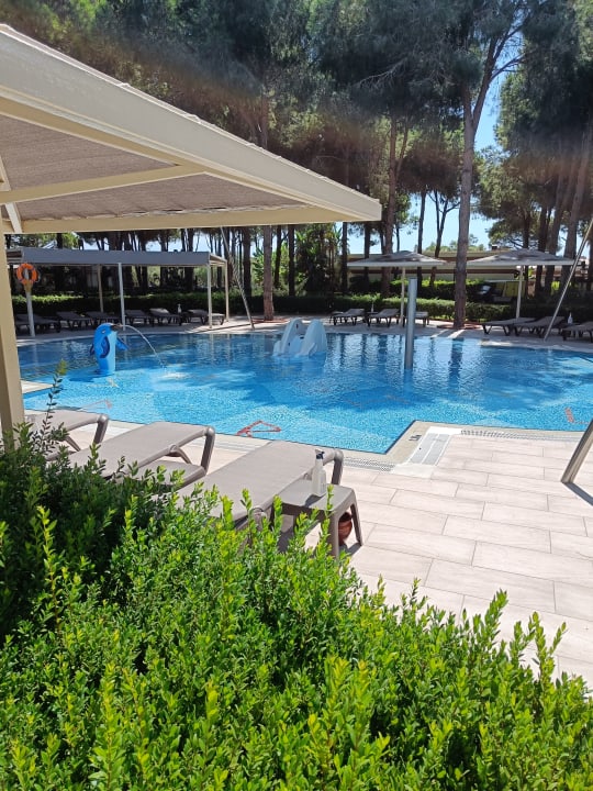 Pool ROBINSON NOBILIS