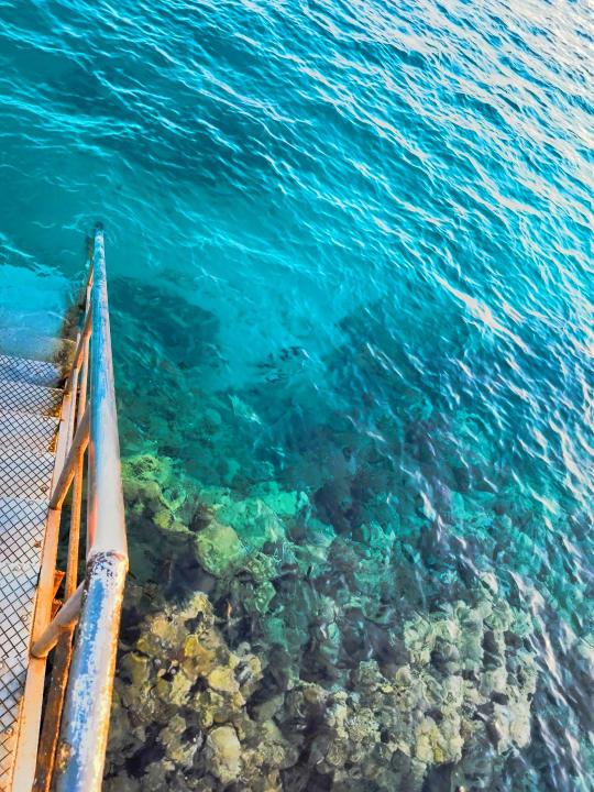 Strand Stella Beach Resort & Spa Makadi Bay