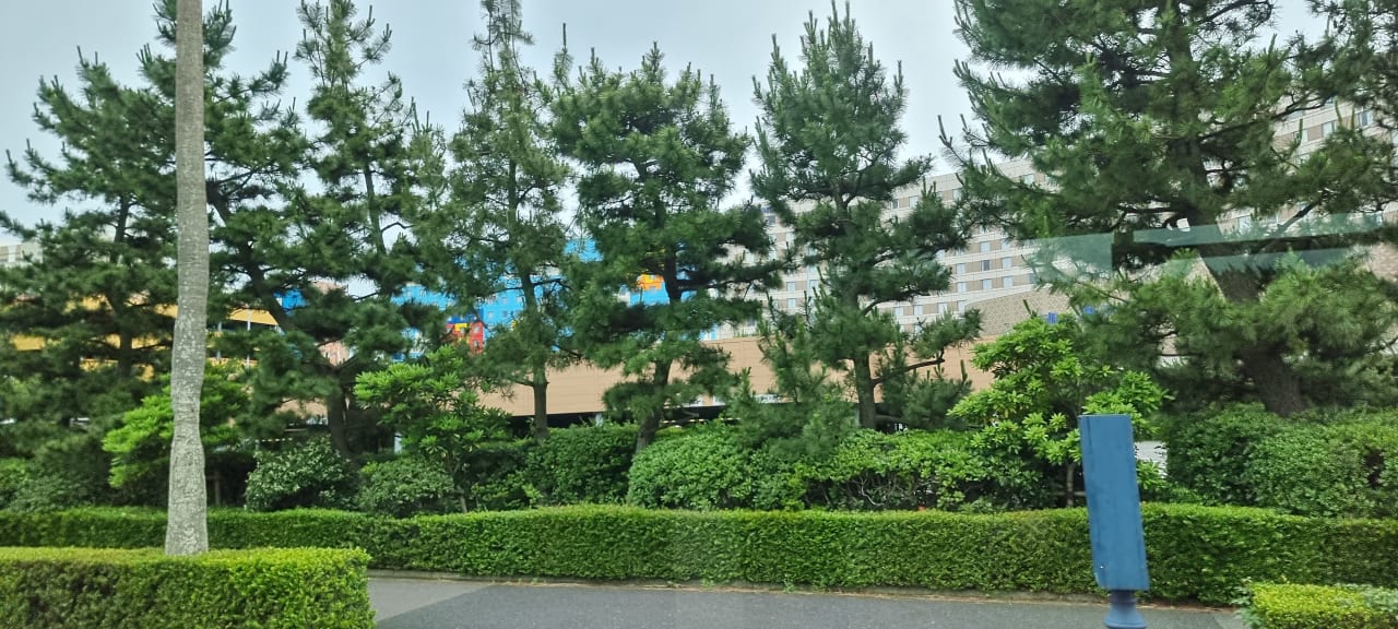 Gartenanlage Hilton Tokyo Bay