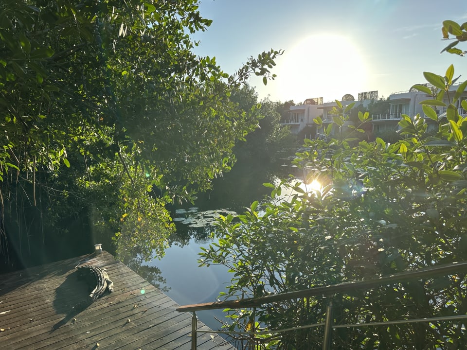 Gartenanlage Blue Diamond Luxury Boutique Hotel