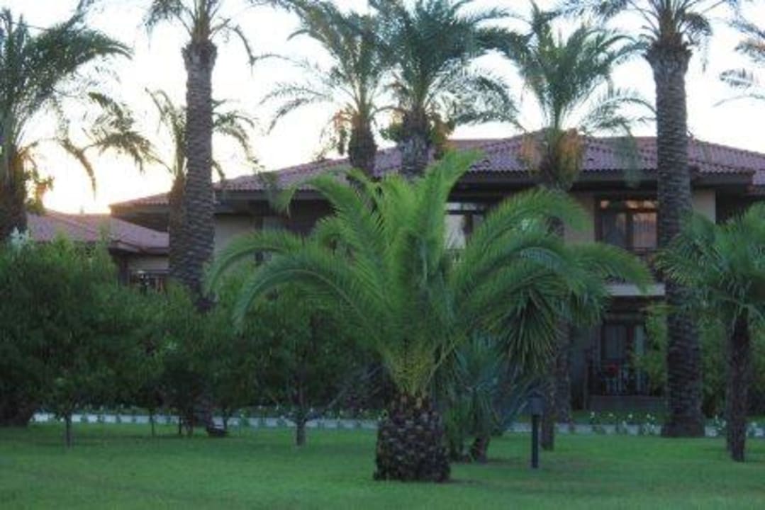 Hotel Iberotel Palm Garden TUI BLUE Palm Garden