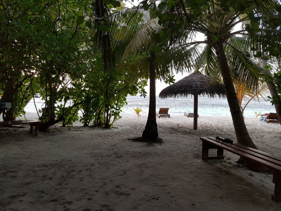 Strand Filitheyo Island Resort