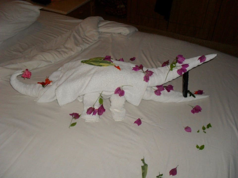 Etwas Trinkgeld Pickalbatros Aqua Park Resort - Hurghada