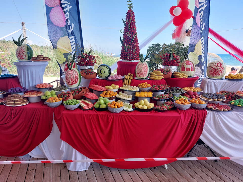 Gastro Seashell Vega