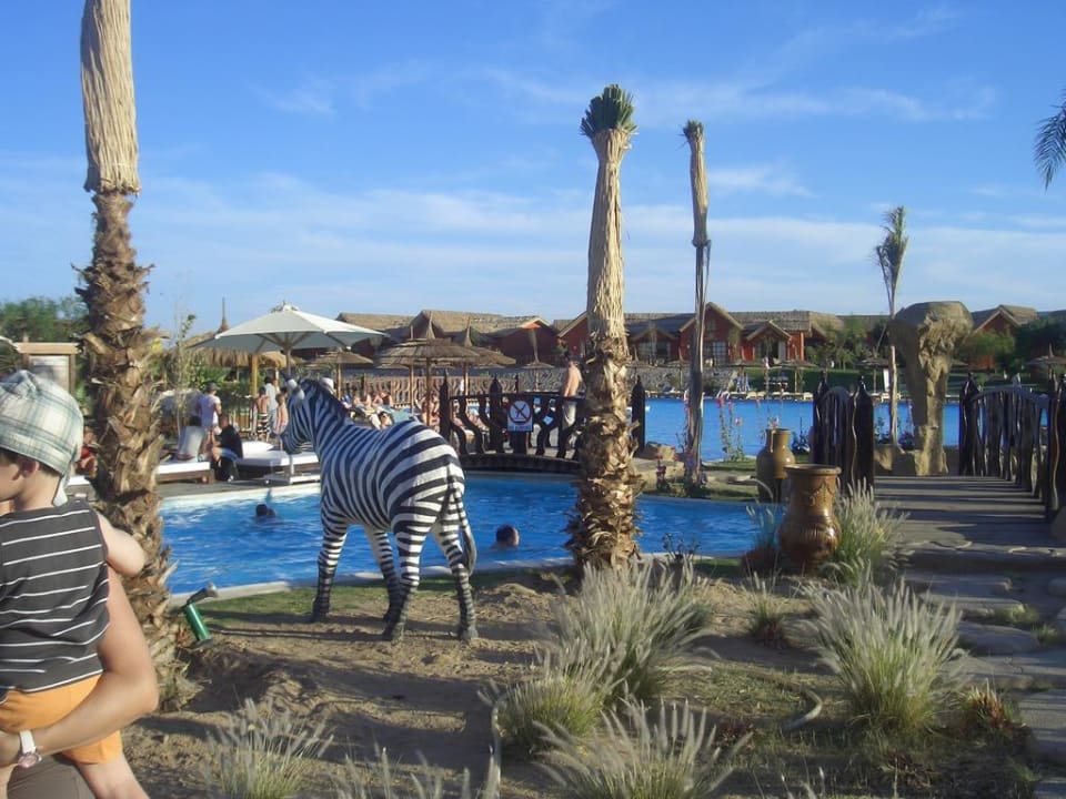Aussenanlage Pickalbatros Jungle Aqua Park Resort - Neverland Hurghada