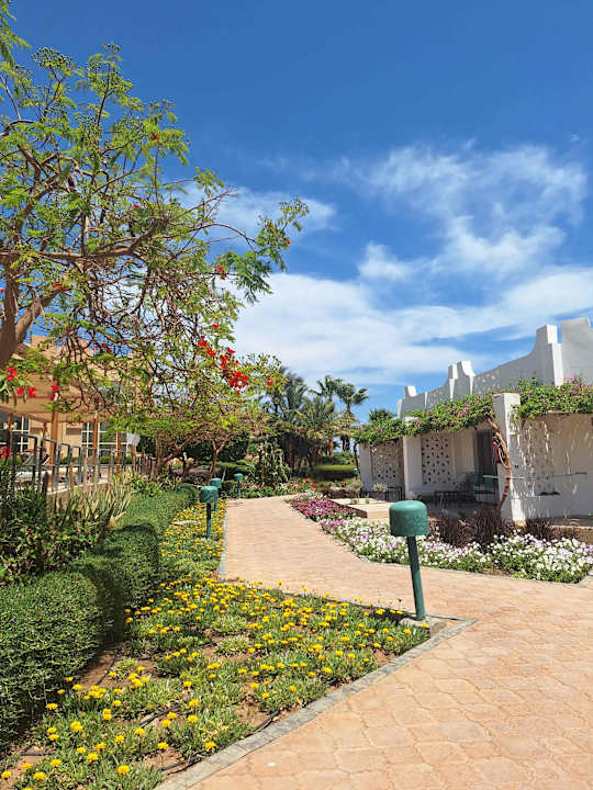 Sport & Freizeit Shams Safaga Resort