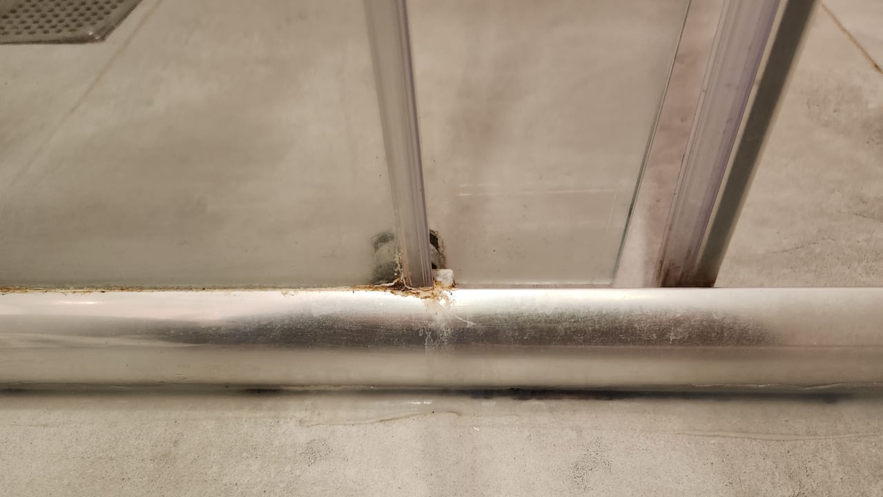 Zimmer Seashell Vega